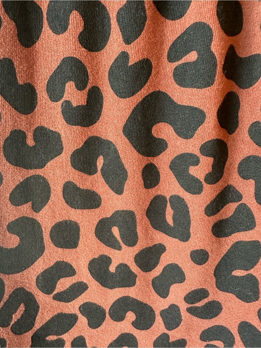 Marine Layer Brown and Black Leopard Print Joggers - Picture 5 of 5
